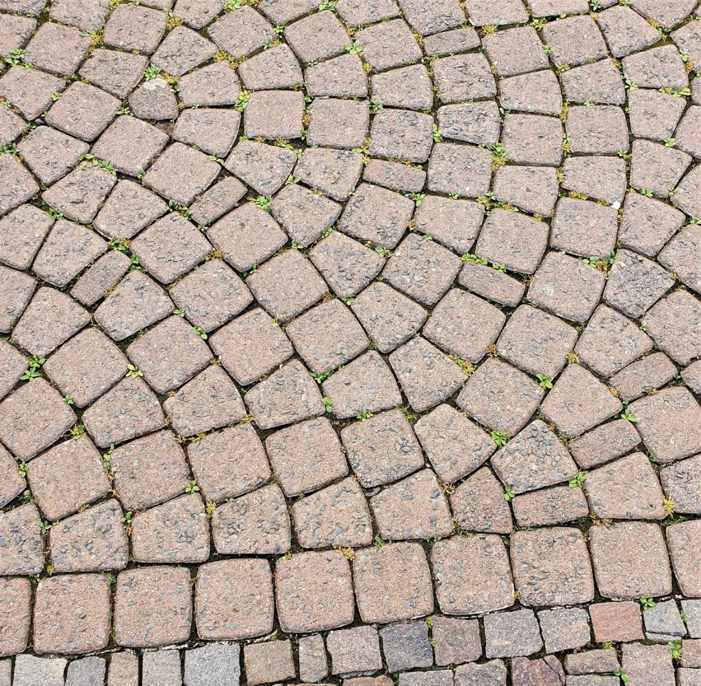 Blattwerk unkraut entfernen 2